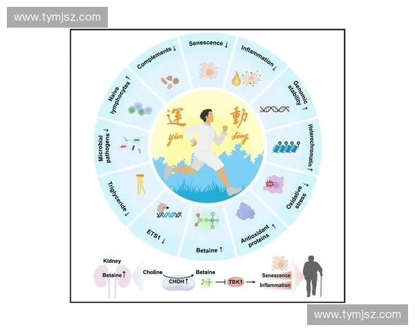以训练周期为核心优化策略提升运动表现的科学方法与实践探索