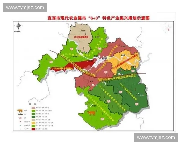 聚焦运动服装制造创新驱动与绿色智能供应链协同发展新路径研究